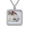 Your pet dog puppy custom photo chihuahua