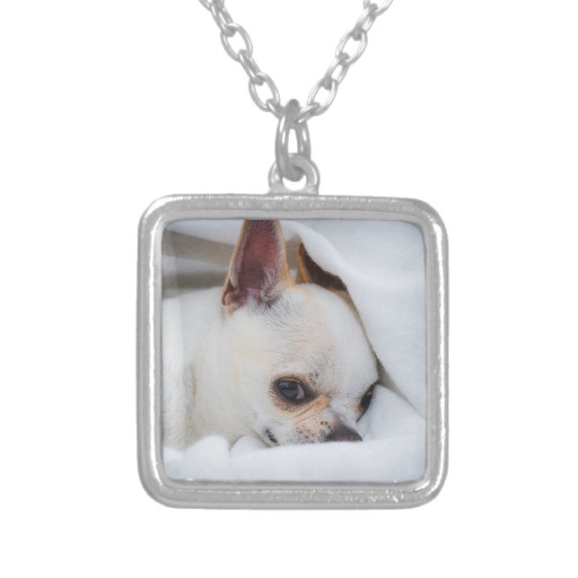 Your pet dog puppy custom photo chihuahua silver plated necklace (Front)