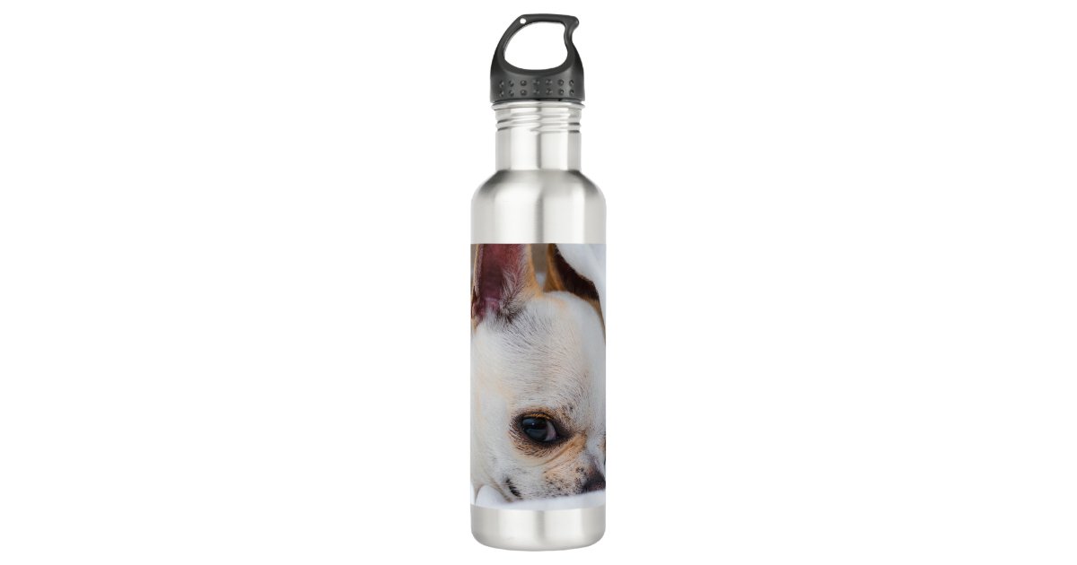 Dog Mom Custom Name Water Bottle Heart Dog Paw Print 32 Oz Personalized  Stainless Steel Insulated Water Bottles for Adults Older Kids 