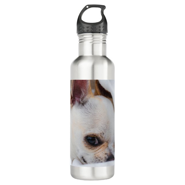Your pet dog puppy custom photo chihuahua stainless steel water bottle (Front)