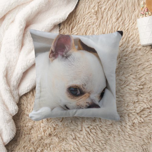 Your pet dog puppy custom photo chihuahua throw pillow