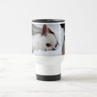 Your pet dog puppy custom photo chihuahua