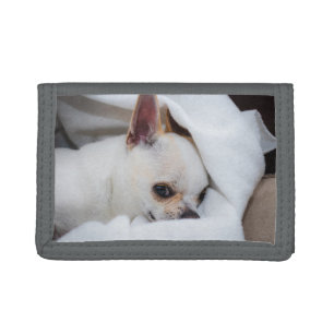 Your pet dog puppy custom photo chihuahua tri-fold wallet