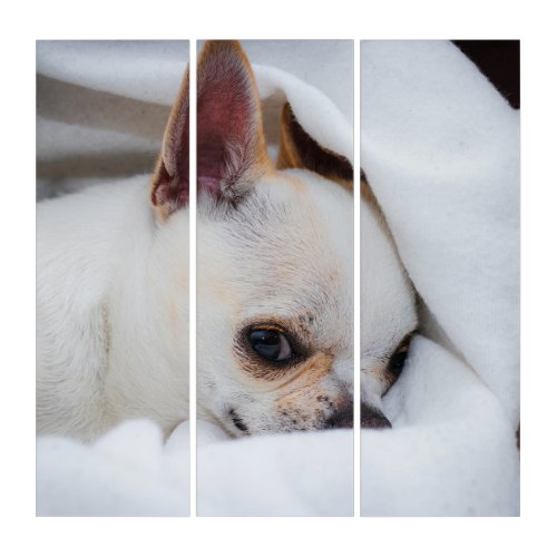 Your pet dog puppy custom photo chihuahua triptych