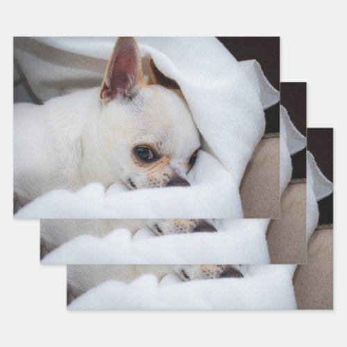 Your pet dog puppy custom photo chihuahua wrapping paper sheets