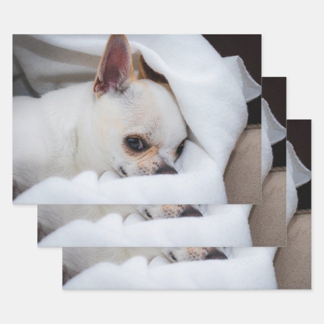 Your pet dog puppy custom photo chihuahua wrapping paper sheets (Set)
