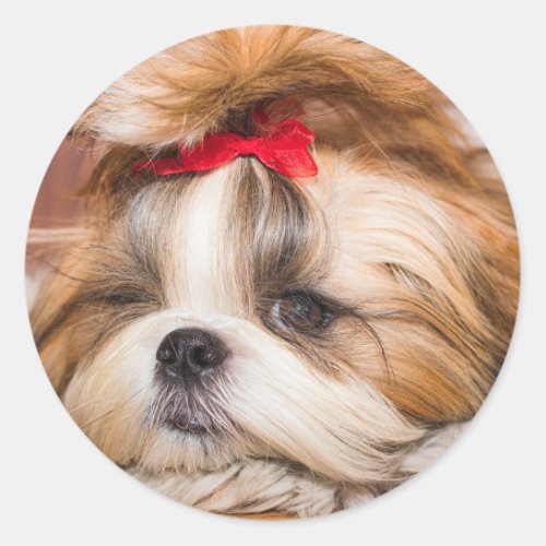 Your pet dog puppy custom photo classic round sticker