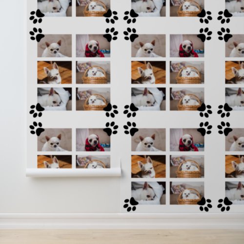 Your pet dog puppy custom photo collage chihuahua wallpaper 