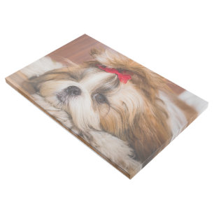 Your pet dog puppy custom photo gallery wrap