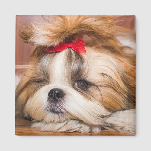 Your pet dog puppy custom photo magnet