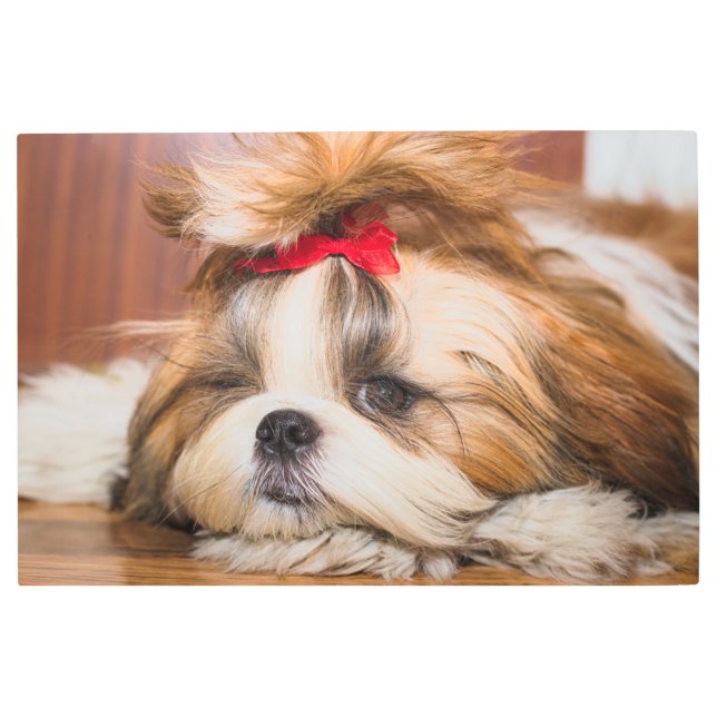 Your pet dog puppy custom photo metal print (Front)