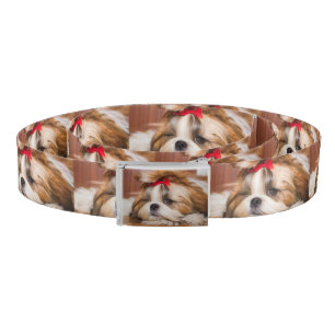 Your pet dog puppy custom photo pattern belt