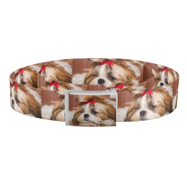 Your pet dog puppy custom photo pattern belt (Coil)