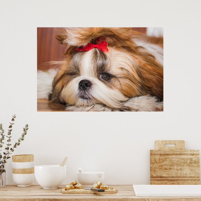 Your pet dog puppy custom photo poster (Kitchen)