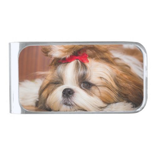 Your pet dog puppy custom photo silver finish money clip