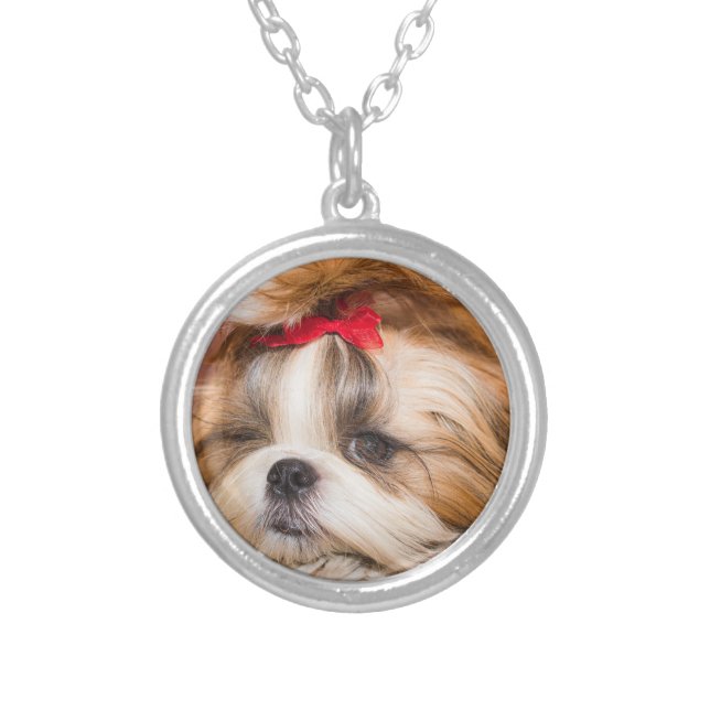 Your pet dog puppy custom photo silver plated necklace (Front)