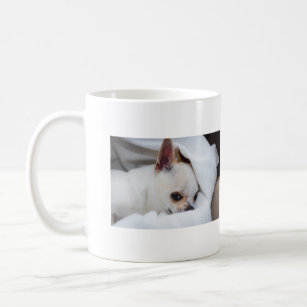 Your pet dog puppy custom photos chihuahua coffee mug