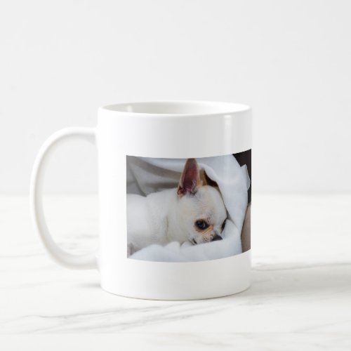 Your pet dog puppy custom photos collage chihuahua coffee mug