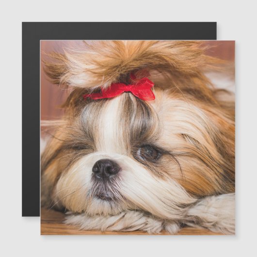 Your pet dog puppy photo gift magnetic card (Front/Back)