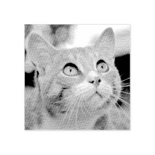 Your Pet Etching Etched From Photo Custom Rubber Stamp