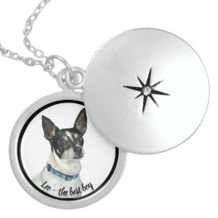Your pet in a locket necklace