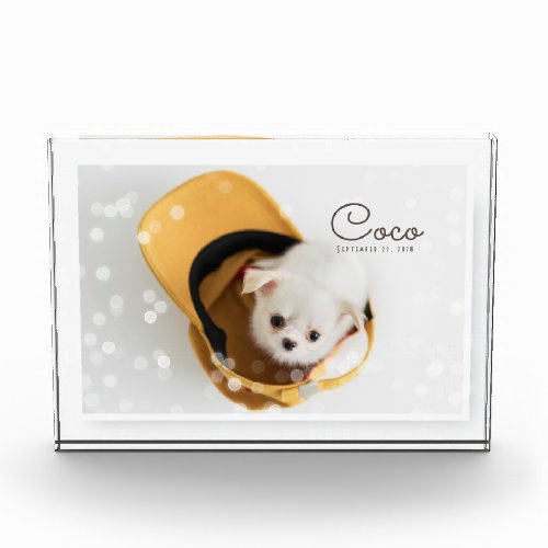 Your Pet in Fairy Lights  Custom Photo and Name