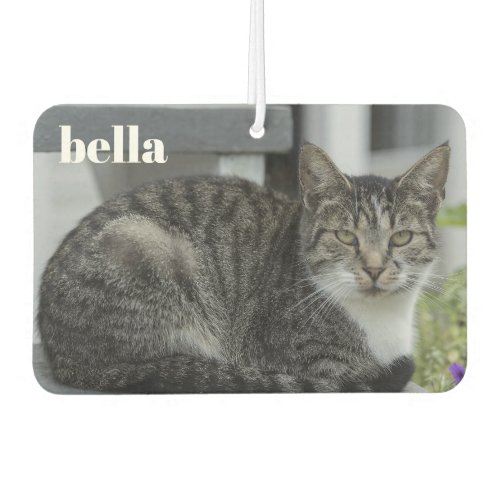 Your Pet Name and Cat Photo Template Air Freshener