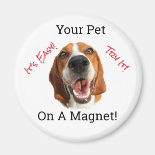 Your Pet On A  Magnet