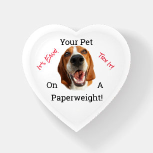Your Pet On A Paperweight