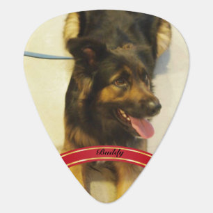 Your Pet on a Pick Guitar Pick