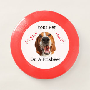 Your Pet On A Wham-O Frisbee