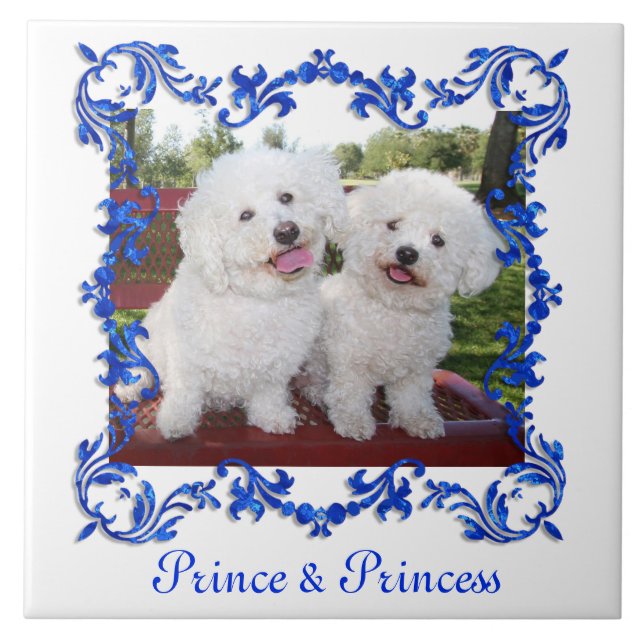 Your Pet Or Any Photo Cute Custom Ceramic Tile (Front)