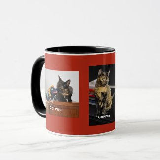 Your Pet or Pets 3 Photos, 3 Names, Red Background