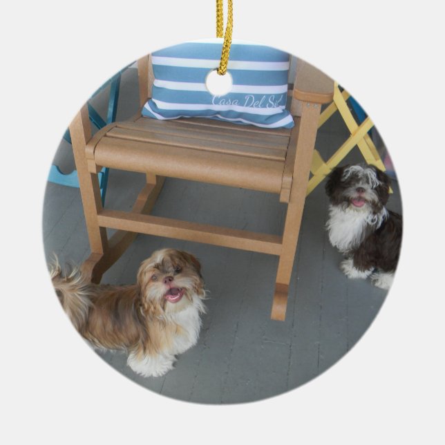 Your Pet Ornament (Front)