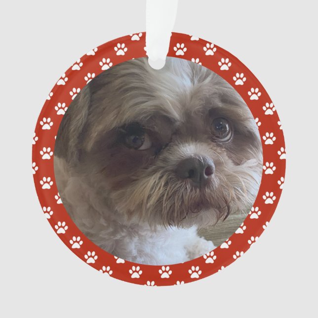 Your Pet Ornament (Front)