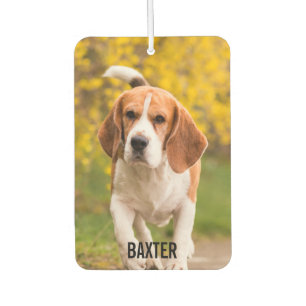 Your Pet Photo Air Freshener