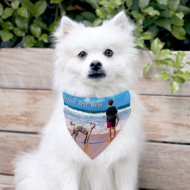 Your Pet Photo and Custom Text Name Personalized Pet Bandana Collar (Dog)