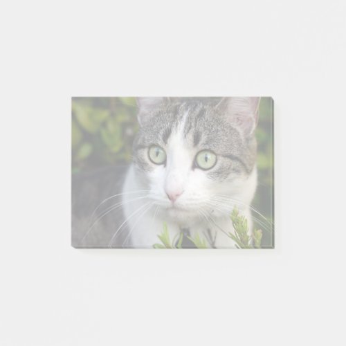 Your Pet Photo Gift Personalized Post It Notes Cat