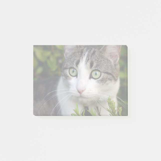Your Pet Photo Gift Personalized Post It Notes Cat (Front)