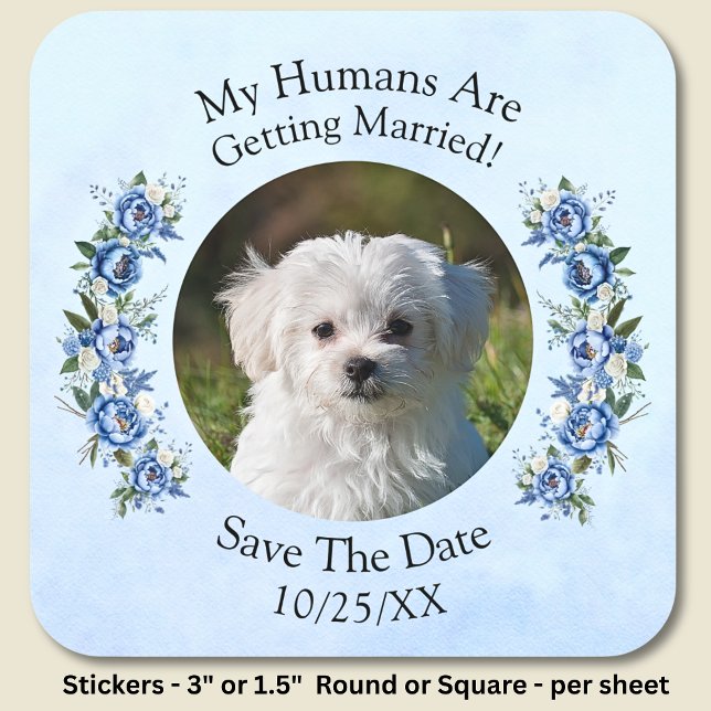 Your Pet Photo Humans Getting Married,  Blue Peony Square Sticker (Creator Uploaded)