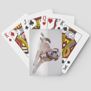 Your pet photo on playing cards