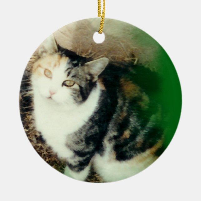 your pet photo ornament green (Front)