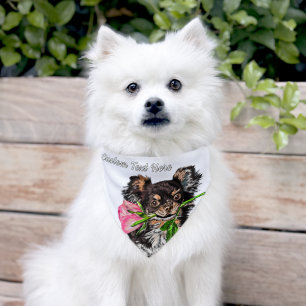 Your Pet Photo Pet Bandana Collar with Custom Text