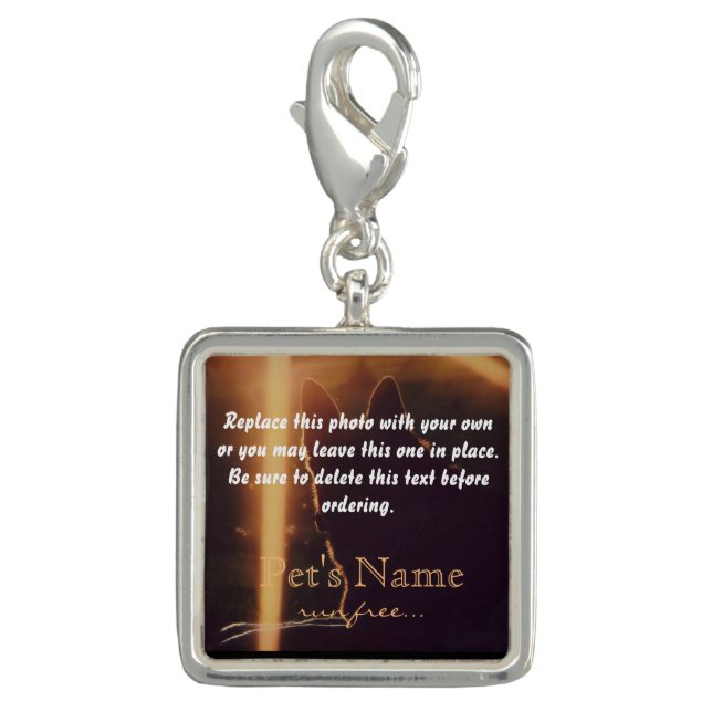 Your Pet Photo Pet Loss Memorial Charm (Front)