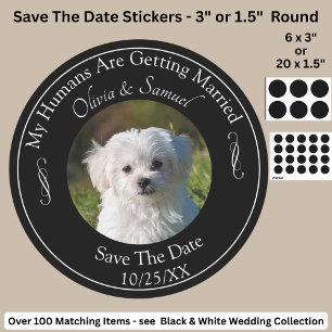 Your Pet Photo, Save The Date, Black & White Classic Round Sticker