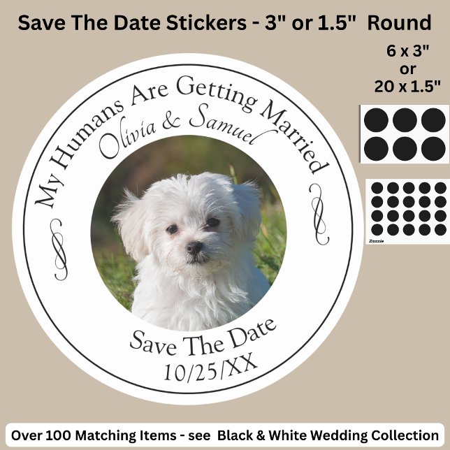 Your Pet Photo, Save The Date, Black & White  Classic Round Sticker (Creator Uploaded)