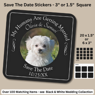 Your Pet Photo, Save The Date, Black & White Square Sticker
