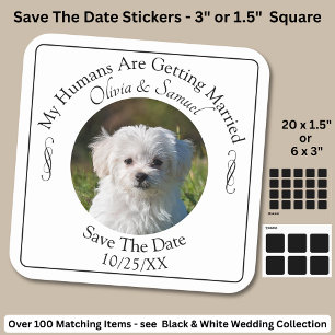 Your Pet Photo, Save The Date, Black & White Square Sticker