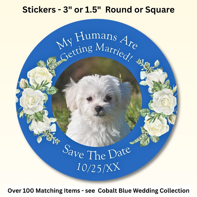 Your Pet Photo, Save The Date, Cobalt Blue & White Classic Round Sticker (Creator Uploaded)