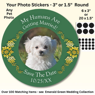 Your Pet Photo, Save The Date, Emerald Green & Gol Classic Round Sticker